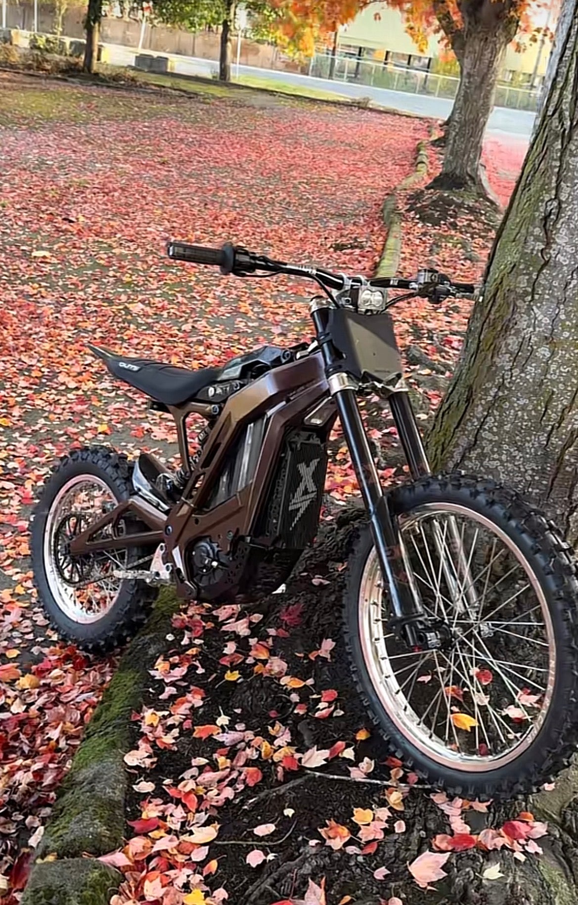 E-ride Pro